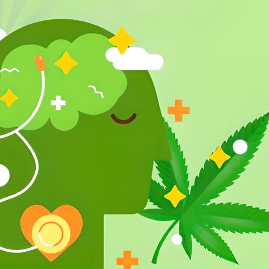Investigación muestra efectos positivos del cannabis en la ansiedad