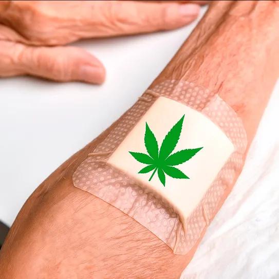 THC cicatrización pieles maduras