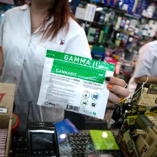 Uruguay actualiza los precios del cannabis de uso adulto dispensado en farmacias