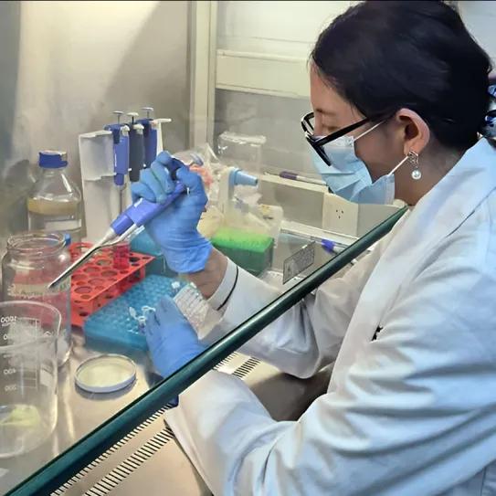 Desarrollan Nanoemulsión de CBD con potencial uso veterinario