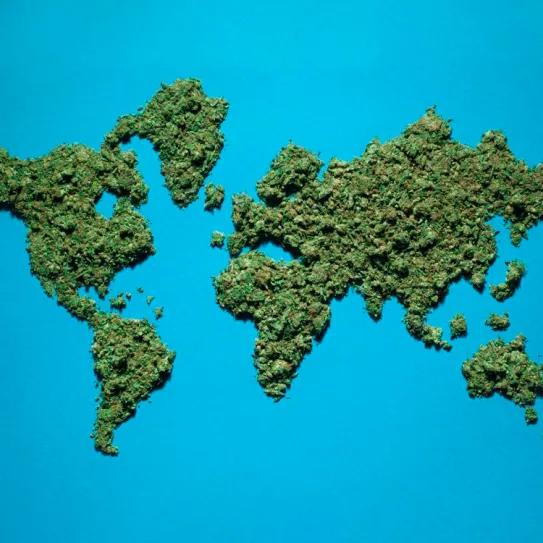 El mercado de cannabis global duplicará su valor en 2033
