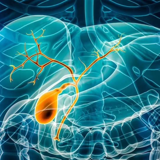 Cannabis terapéutico se asocia a mayor supervivencia en cáncer biliar