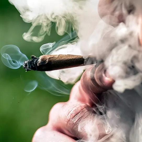 Republicanos de Florida buscan prohibir fumar y vapear cannabis en espacios públicos