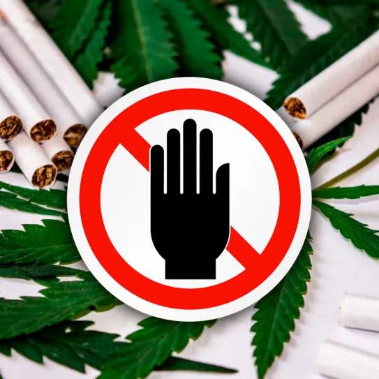 Portugal veta el cáñamo en productos del tabaco