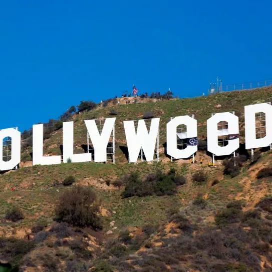 Cinco voces de Hollywood que apoyan la regulación del cannabis