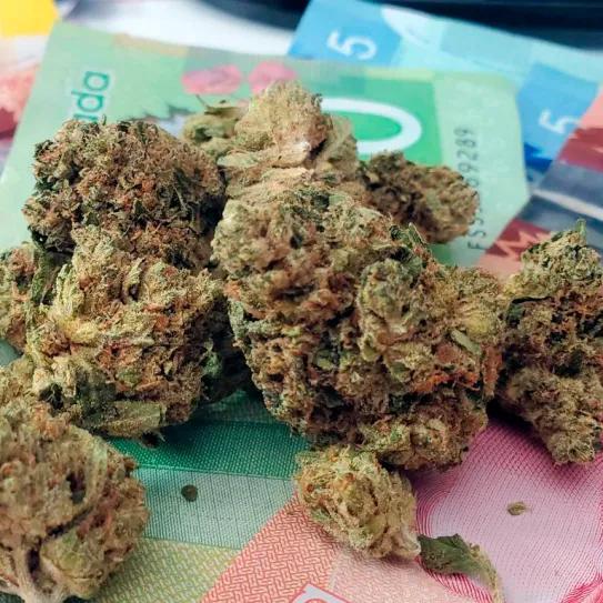 Canadá supera los 5.400 millones de dólares en impuestos al cannabis legal