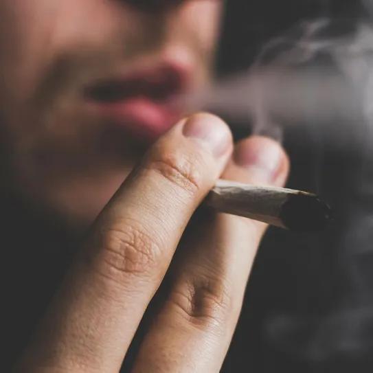 Investigación clínica cuestiona el posible vínculo entre cannabis y pensamiento suicida