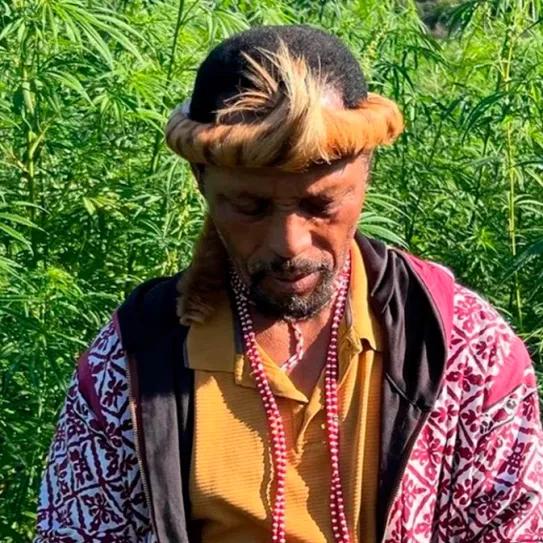 Curanderos sudafricanos no están habilitados para recetar cannabis