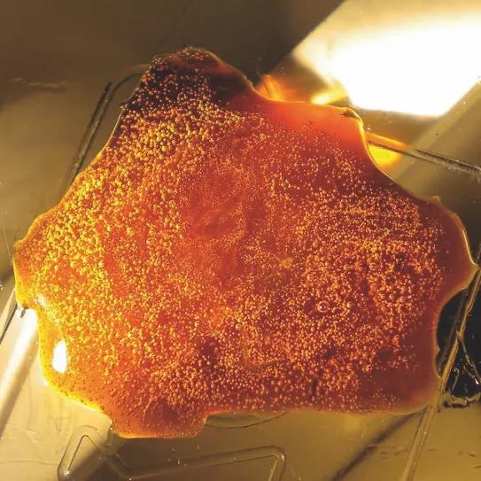 Imagen sin descripción