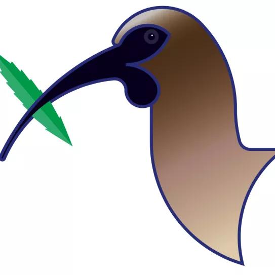 Imagen sin descripción