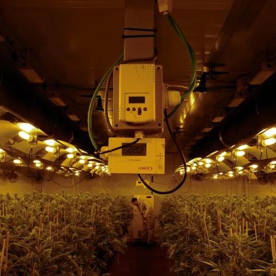 Imagen sin descripción