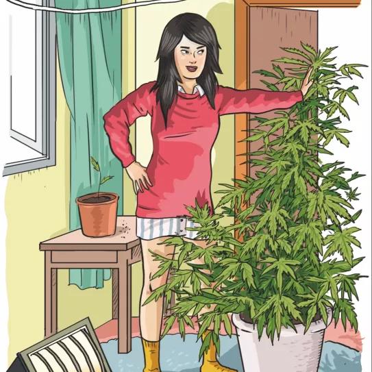 Imagen sin descripción