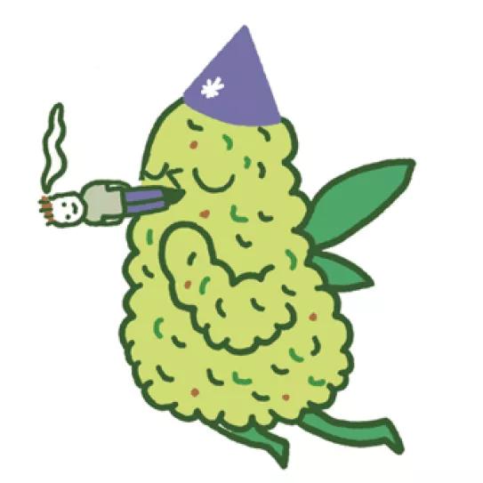 Imagen sin descripción