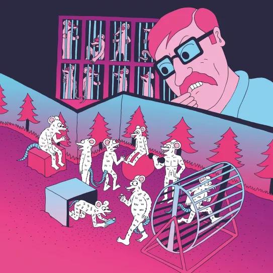 Imagen sin descripción