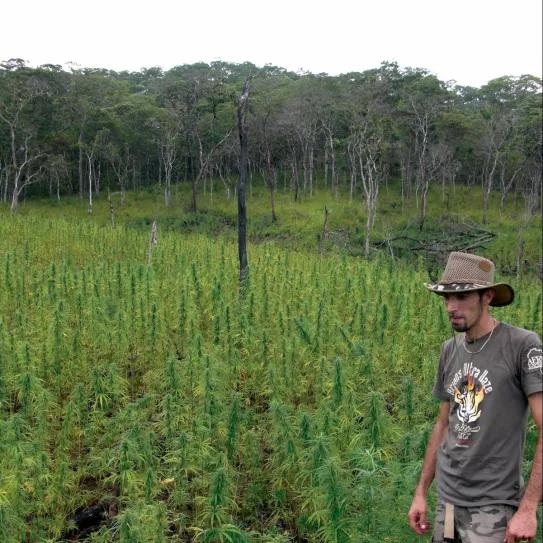 Imagen sin descripción