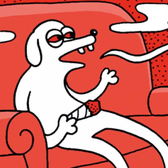 Imagen sin descripción