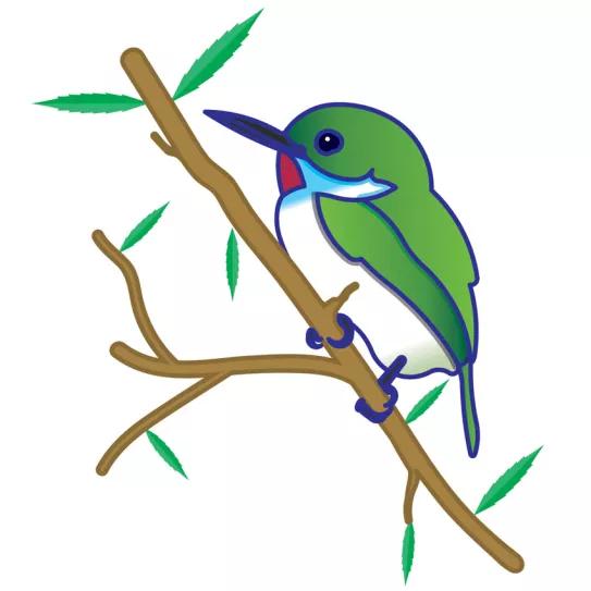 Imagen sin descripción