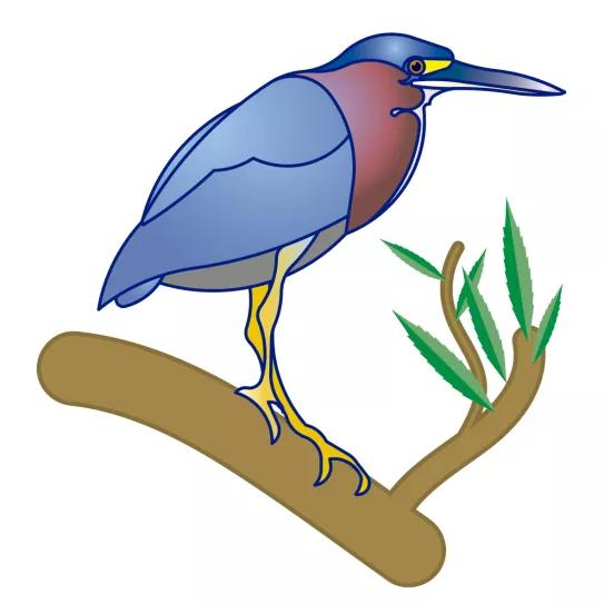 Imagen sin descripción