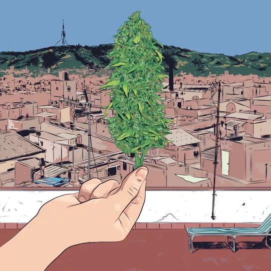 Imagen sin descripción