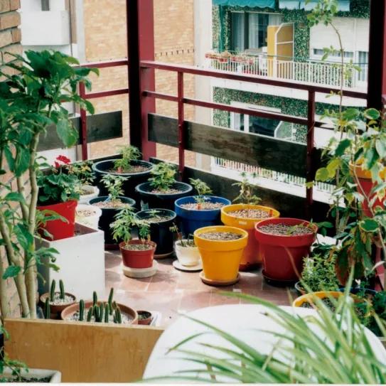 Imagen sin descripción