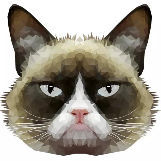 Imagen sin descripción