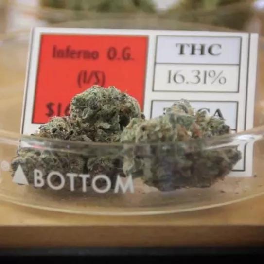 Imagen sin descripción