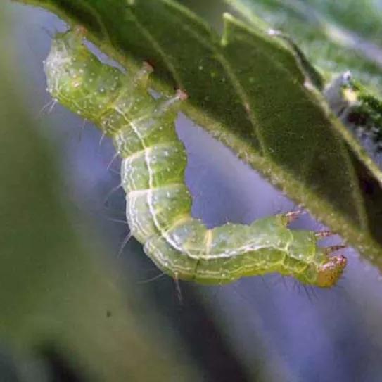 Imagen sin descripción