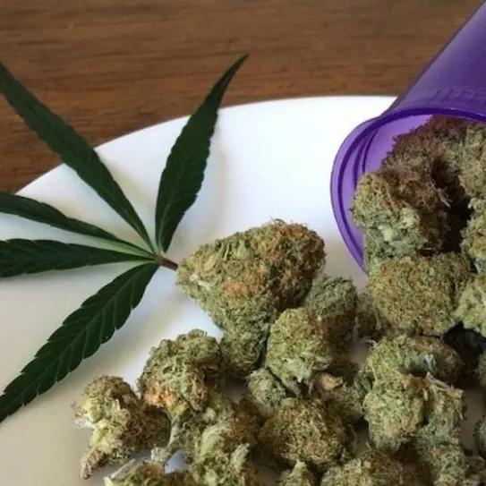 Imagen sin descripción