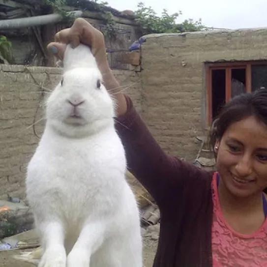 Imagen sin descripción