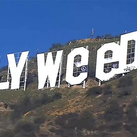 Imagen sin descripción