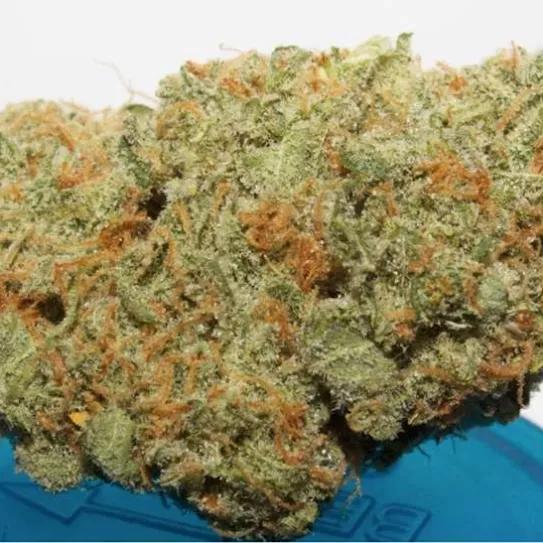 Imagen sin descripción