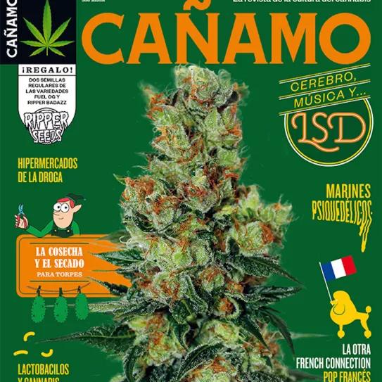 Imagen sin descripción