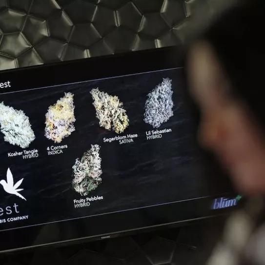 Imagen sin descripción