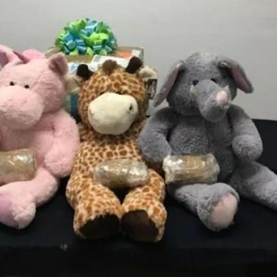 Imagen sin descripción