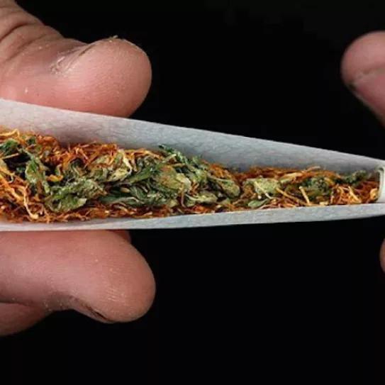 Imagen sin descripción