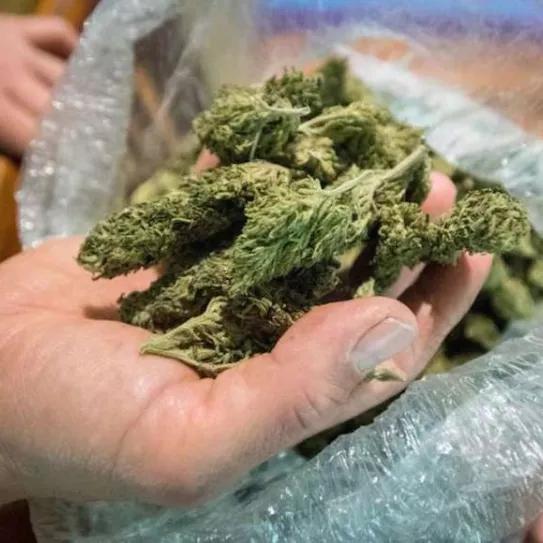 Imagen sin descripción