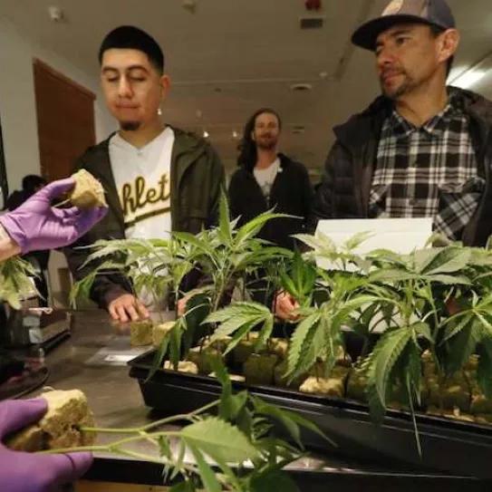 Imagen sin descripción