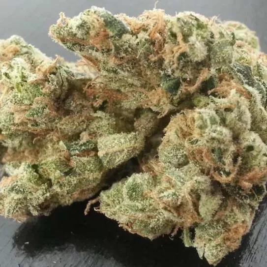 Imagen sin descripción