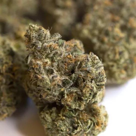 Imagen sin descripción