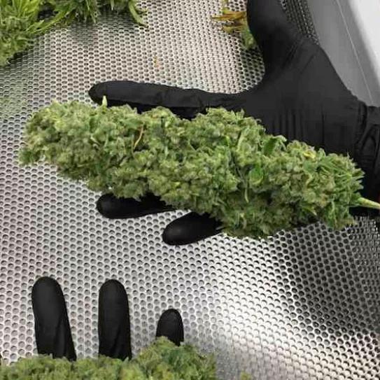 Imagen sin descripción