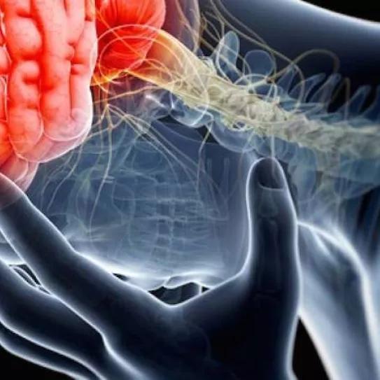 Imagen sin descripción