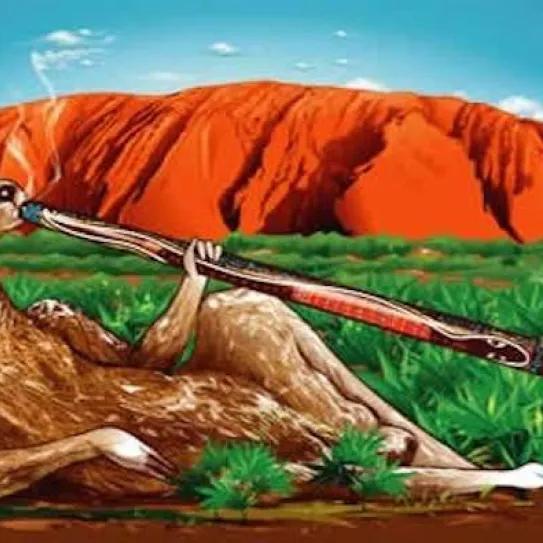 Imagen sin descripción