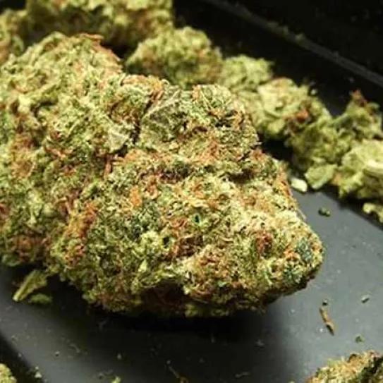 Imagen sin descripción