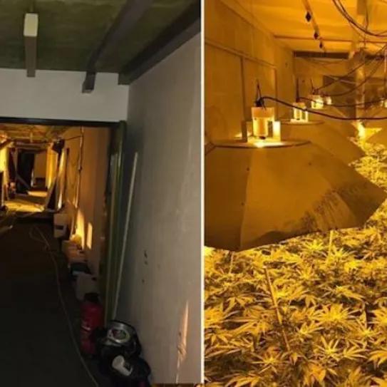 Imagen sin descripción