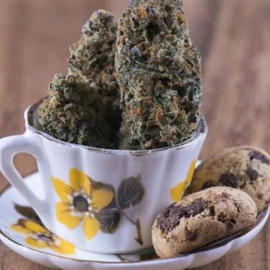 Imagen sin descripción