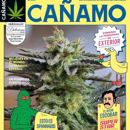 Imagen sin descripción