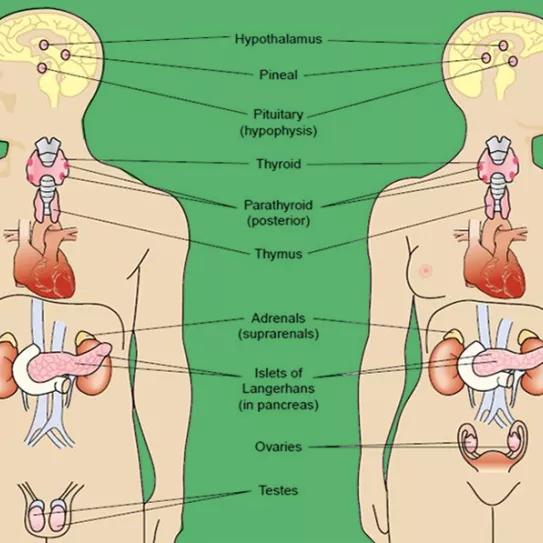 Imagen sin descripción