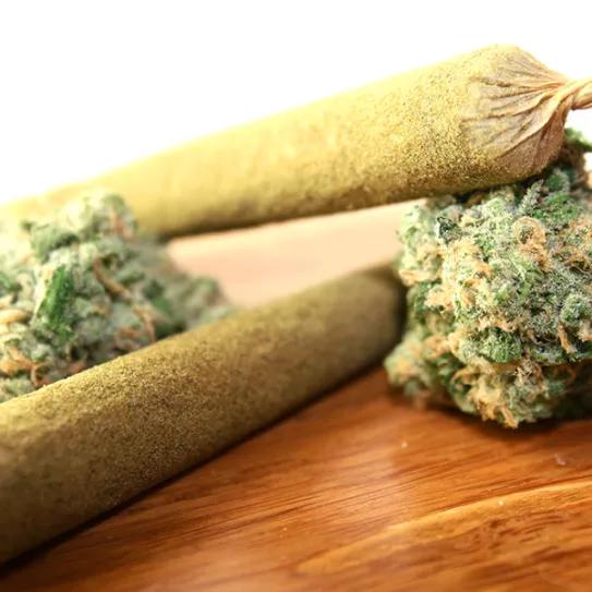 Imagen sin descripción