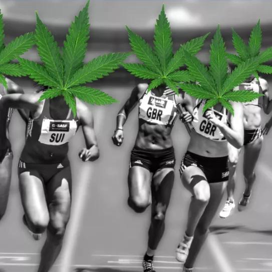 Imagen sin descripción