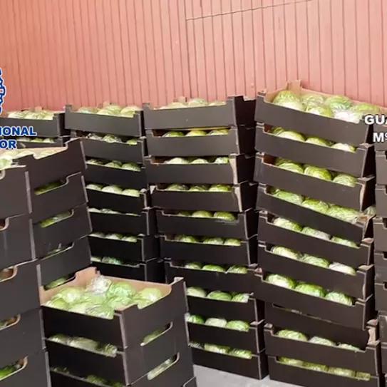 Imagen sin descripción